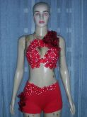 Conjunto vermelho